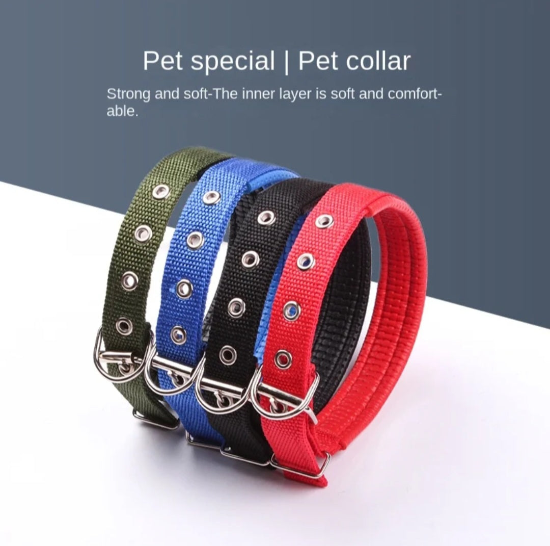 Padded Nylon Dog Collar