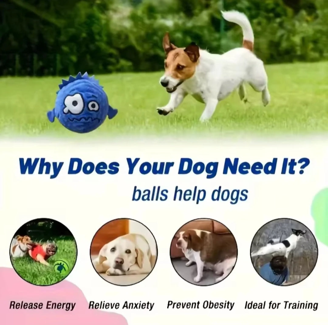 Wacky Emoji Plush Squeaky Dog Ball