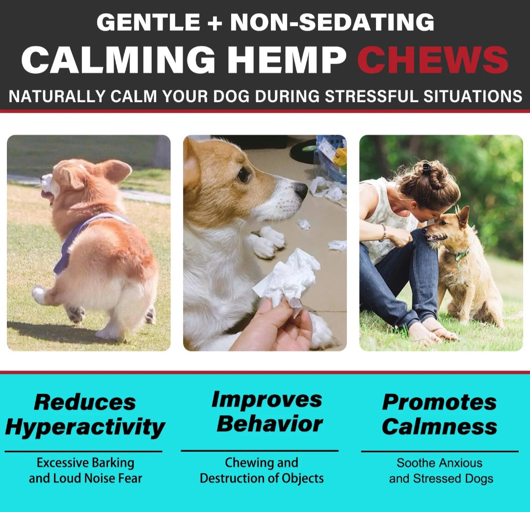 Hemp Calming Chews For Dogs