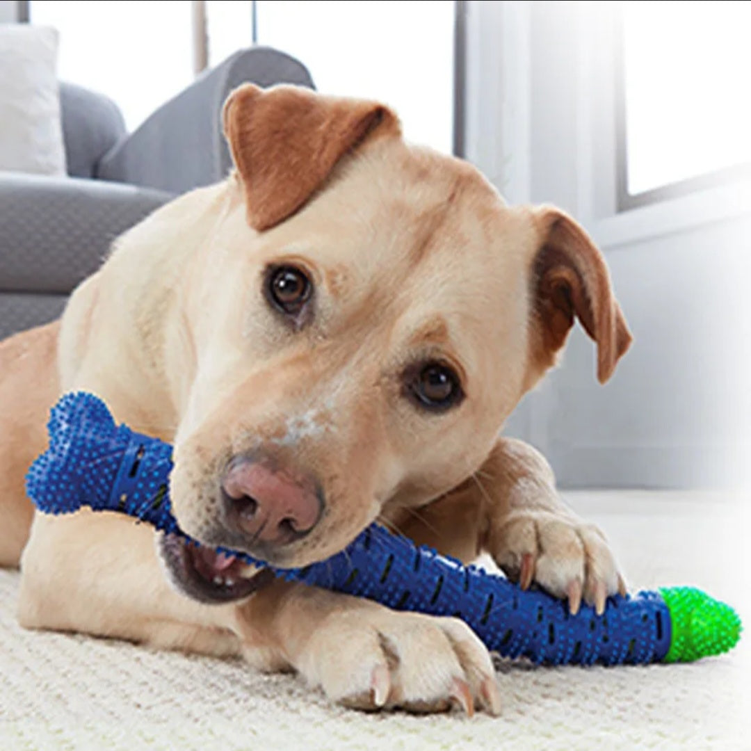 ChewBrush Triple Action Self-Brushing Dog Toothbrush