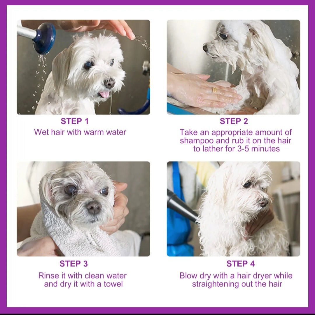 Lavender Pet Shampoo & Conditioner – Calming Formula