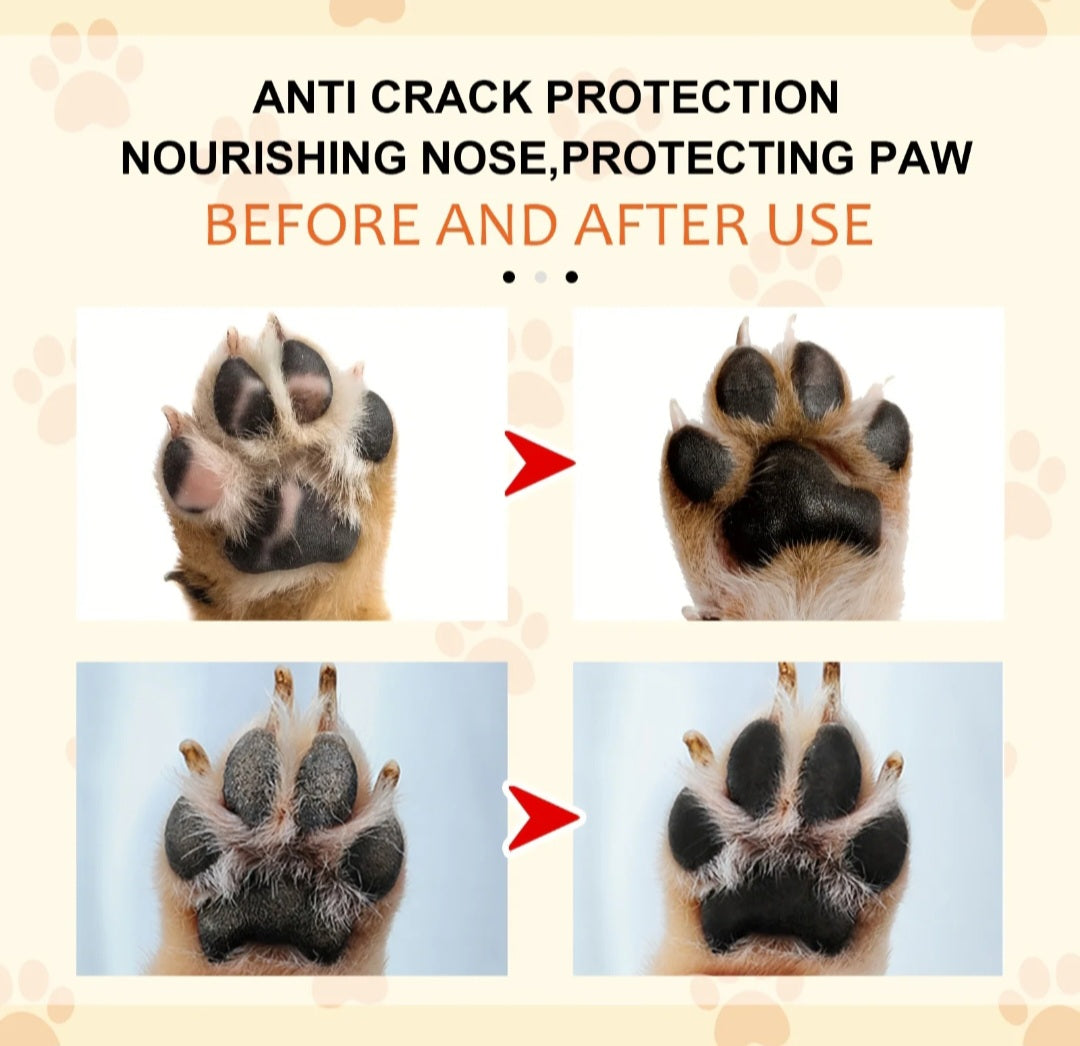 Organic Paw Balm – Anti-Crack & Nourishing Protection for Dogs & Cats