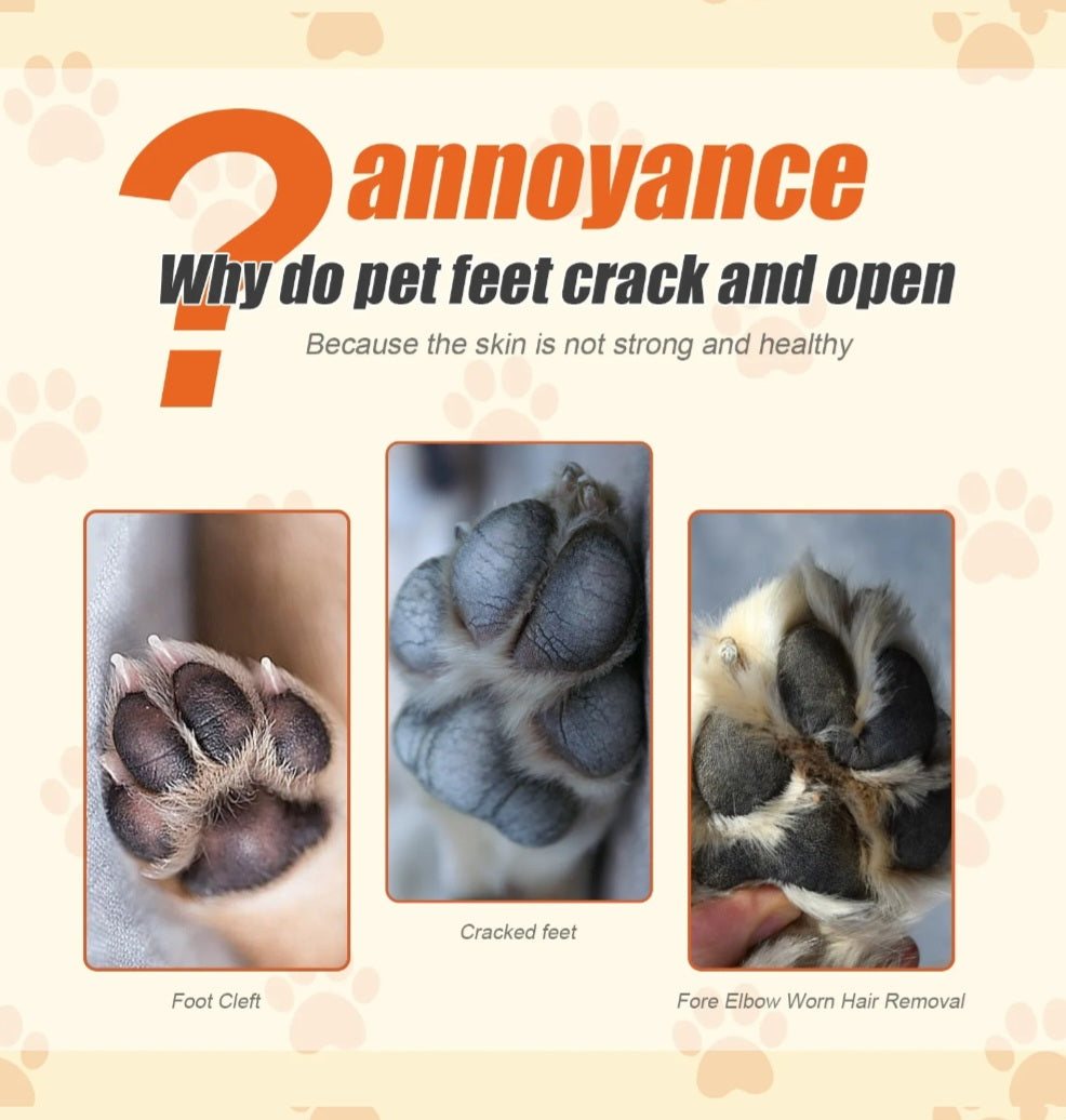 Organic Paw Balm – Anti-Crack & Nourishing Protection for Dogs & Cats