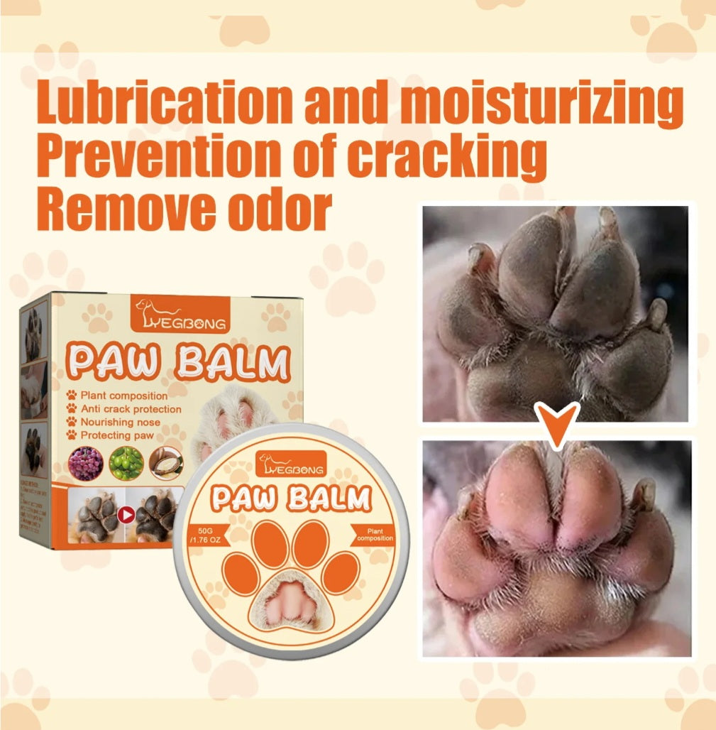 Organic Paw Balm – Anti-Crack & Nourishing Protection for Dogs & Cats
