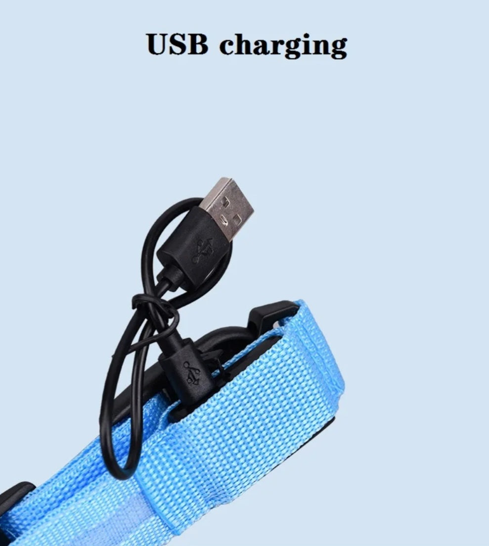 USB Rechargeable LED Dog Collar – 7 Colours, 3 Light Modes