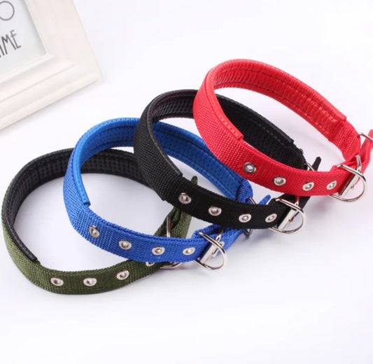 Padded Nylon Dog Collar