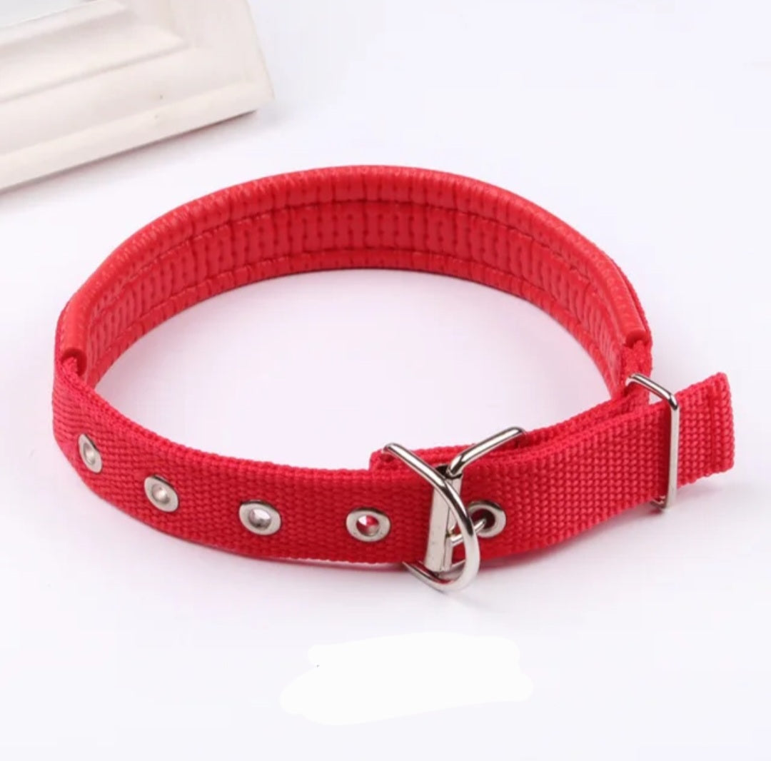 Padded Nylon Dog Collar