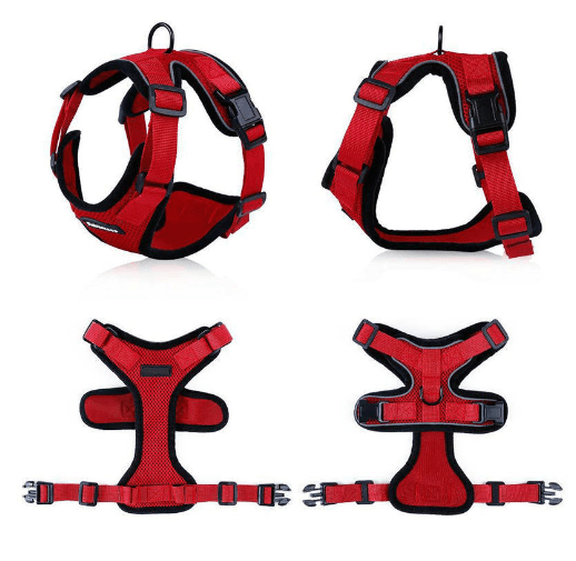 Escapeguard Cat Vest Harness And Car Seat Belt Adapter - Adjustable, Reflective, And Escape-Proof Harness For Cats And Small Dogs-13