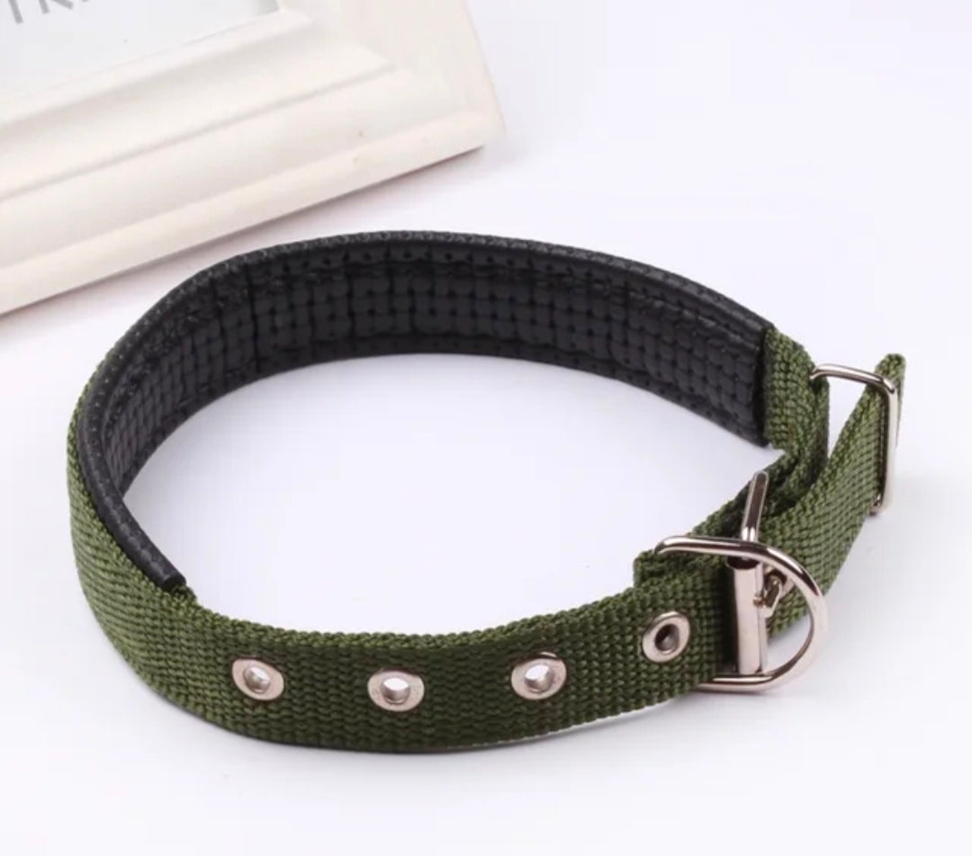 Padded Nylon Dog Collar