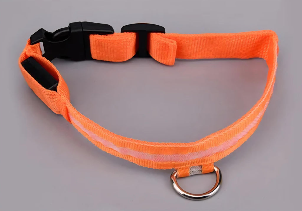 USB Rechargeable LED Dog Collar – 7 Colours, 3 Light Modes