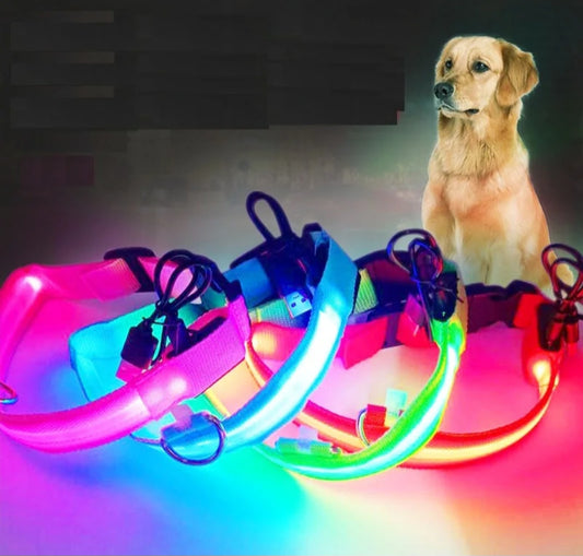 USB Rechargeable LED Dog Collar – 7 Colours, 3 Light Modes