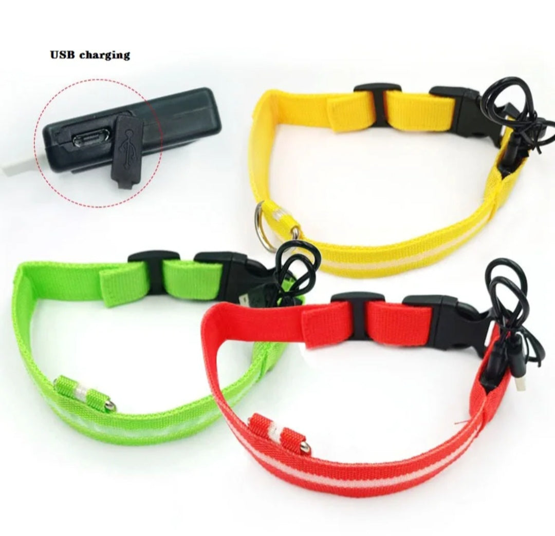 USB Rechargeable LED Dog Collar – 7 Colours, 3 Light Modes