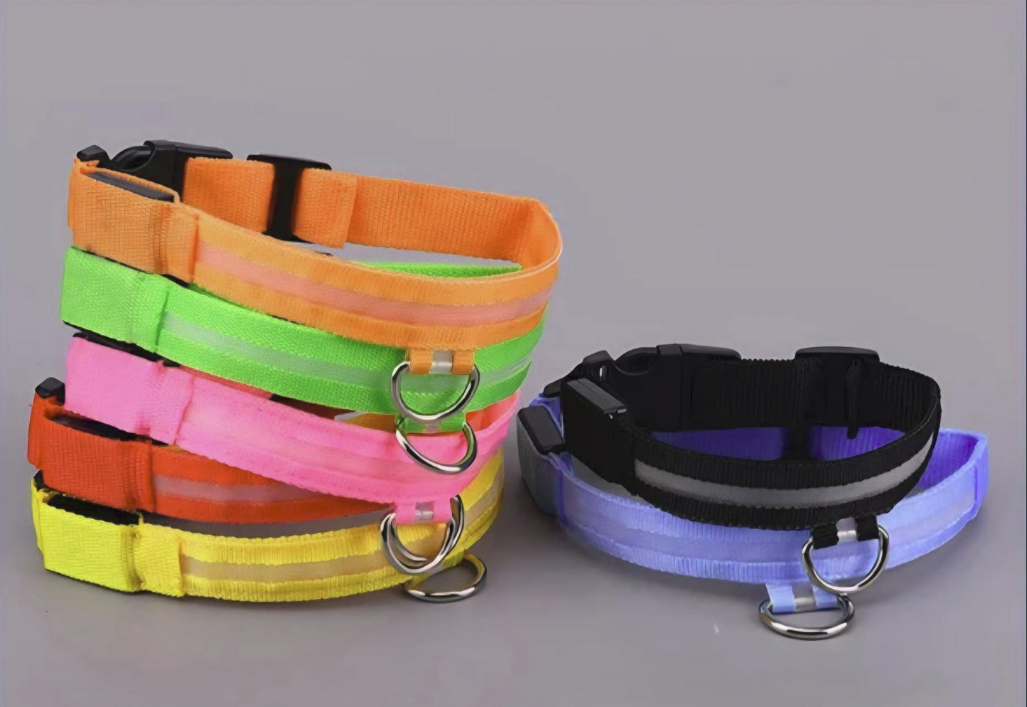 USB Rechargeable LED Dog Collar – 7 Colours, 3 Light Modes