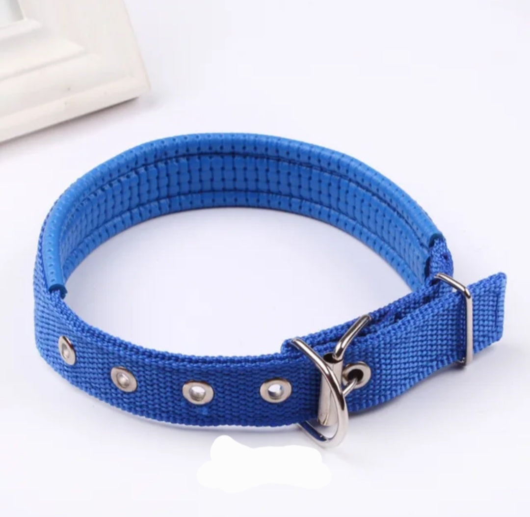 Padded Nylon Dog Collar