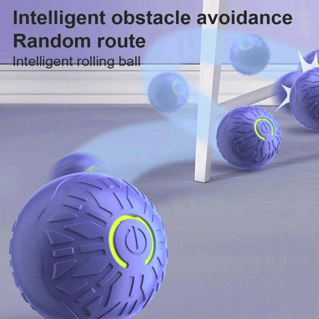 Interactive Self-Moving Pet Ball – USB Rechargeable