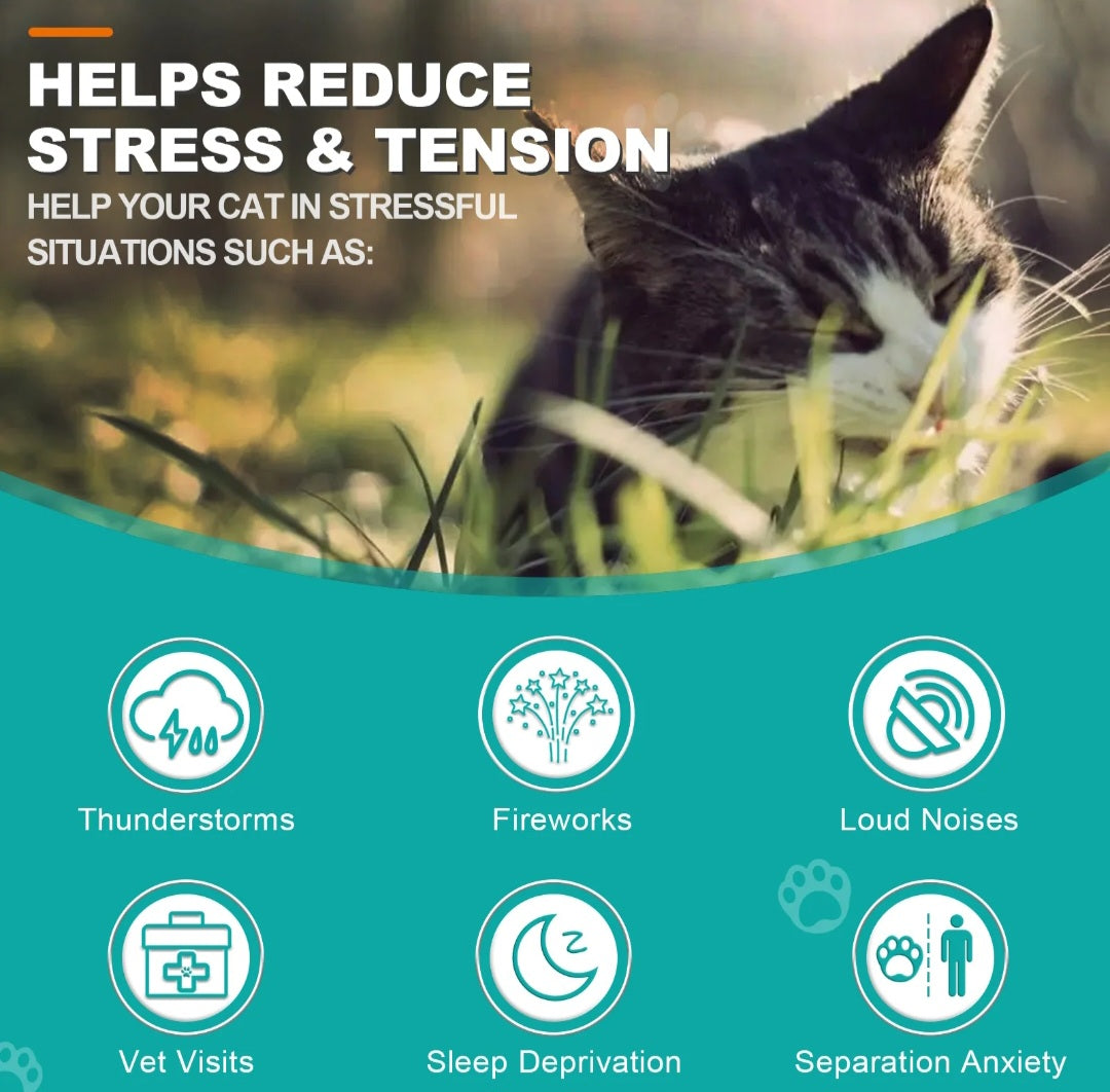 Hemp Calming Treats For Cats