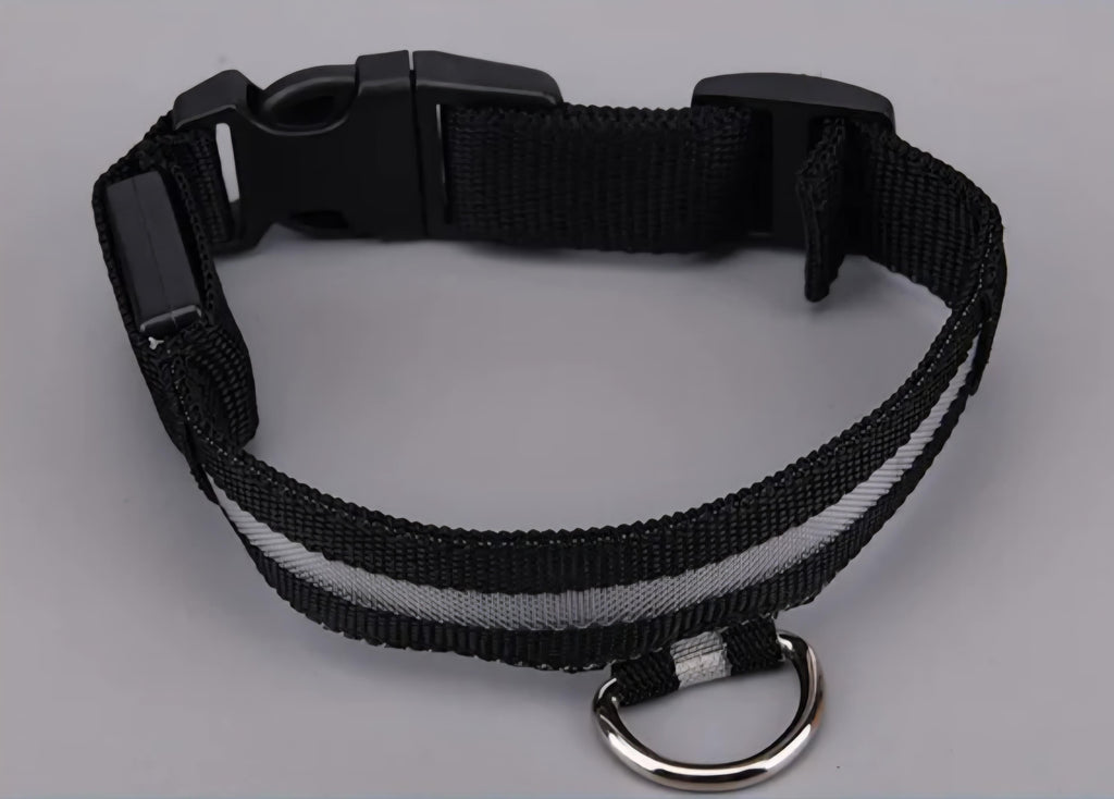 USB Rechargeable LED Dog Collar – 7 Colours, 3 Light Modes
