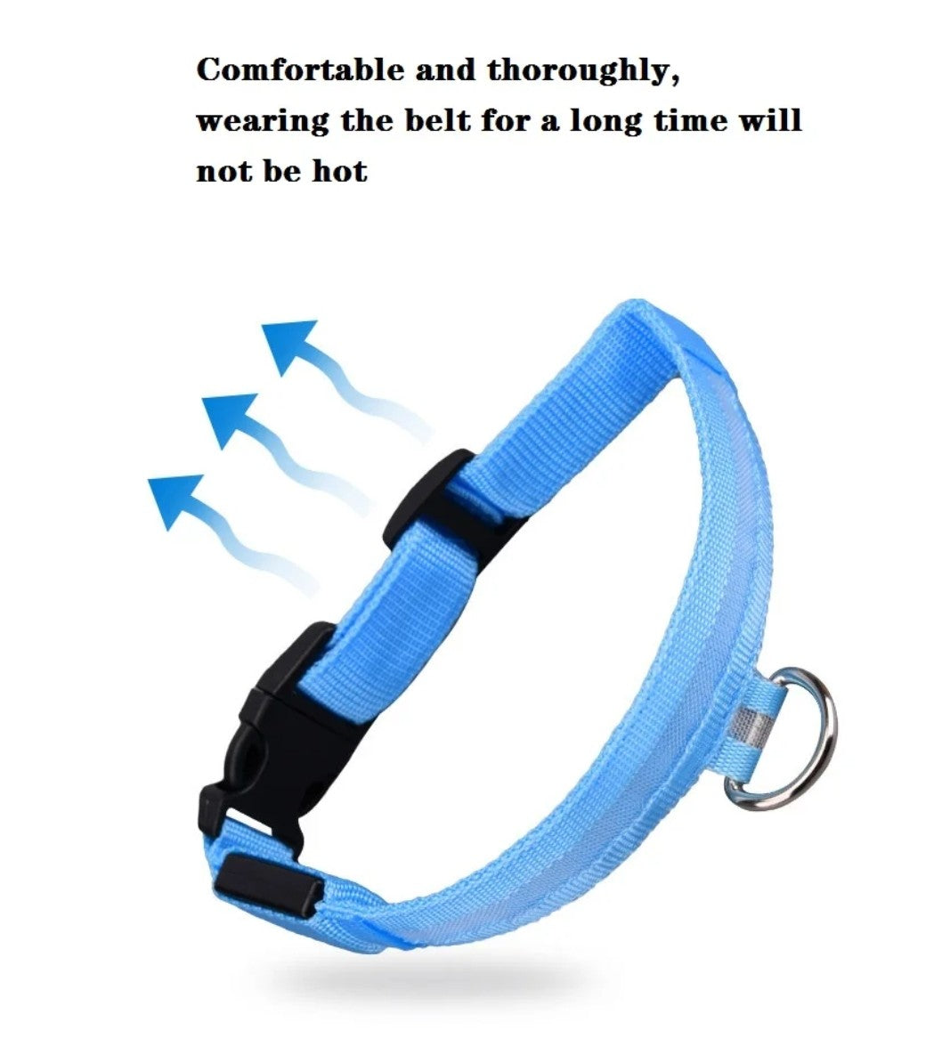 USB Rechargeable LED Dog Collar – 7 Colours, 3 Light Modes