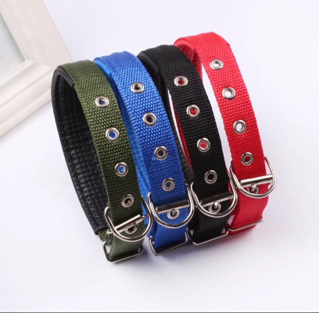 Padded Nylon Dog Collar