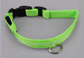 USB Rechargeable LED Dog Collar – 7 Colours, 3 Light Modes