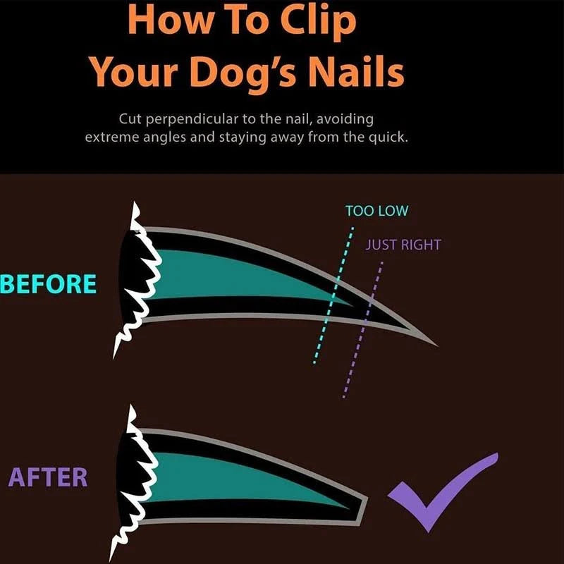 Pet Nail Clipper & File Kit – Spring Loaded with Ergonomic Grip
