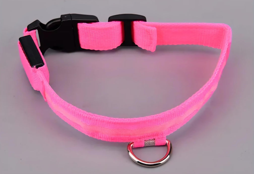 USB Rechargeable LED Dog Collar – 7 Colours, 3 Light Modes