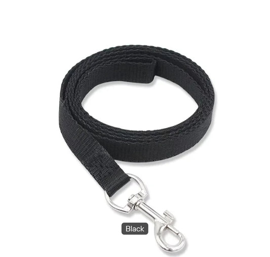 Nylon Dog Leash