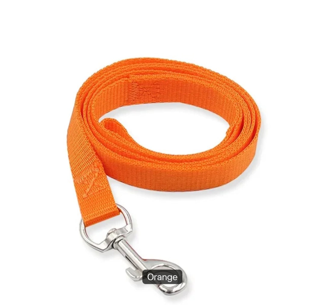 Nylon Dog Leash