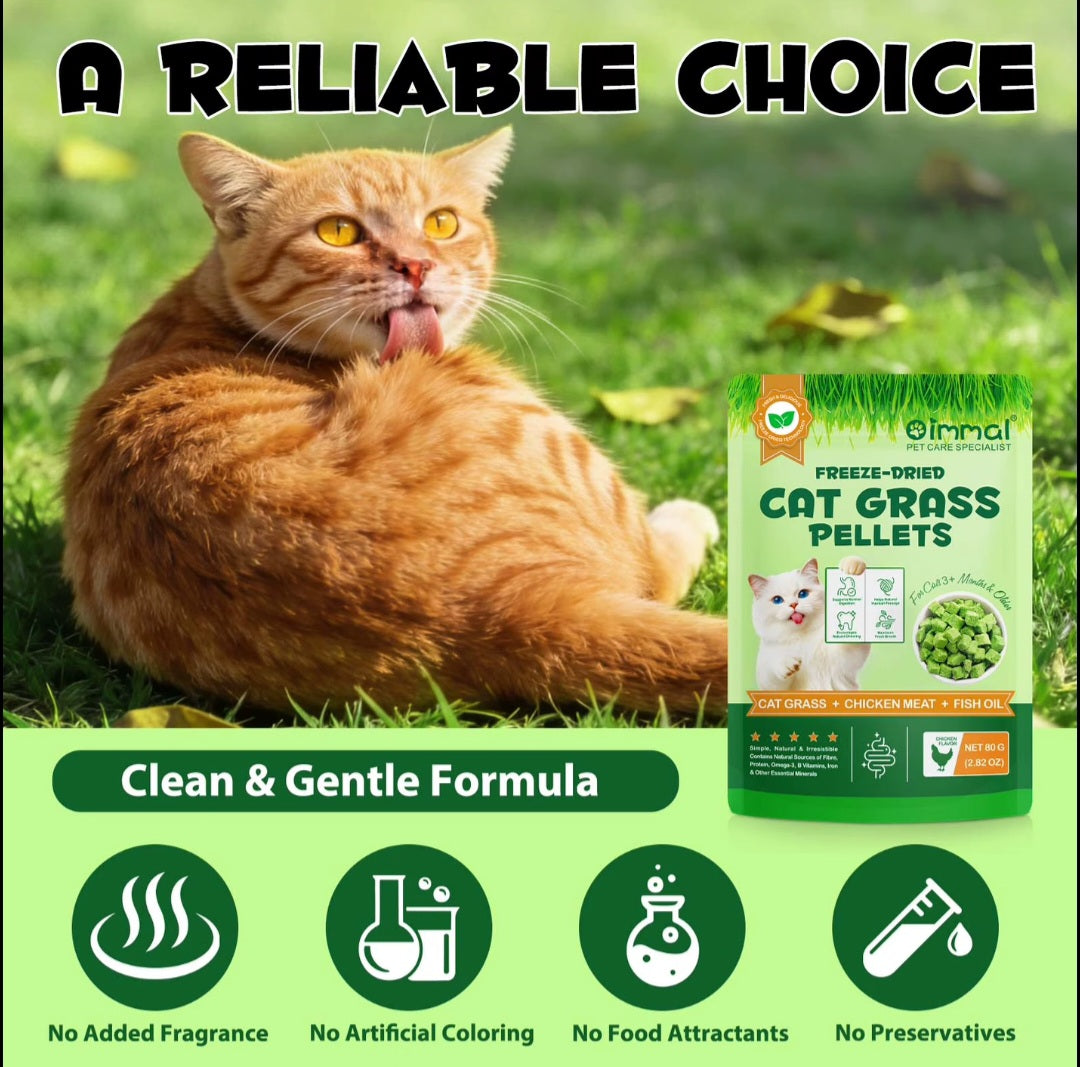 Cat Grass Treats