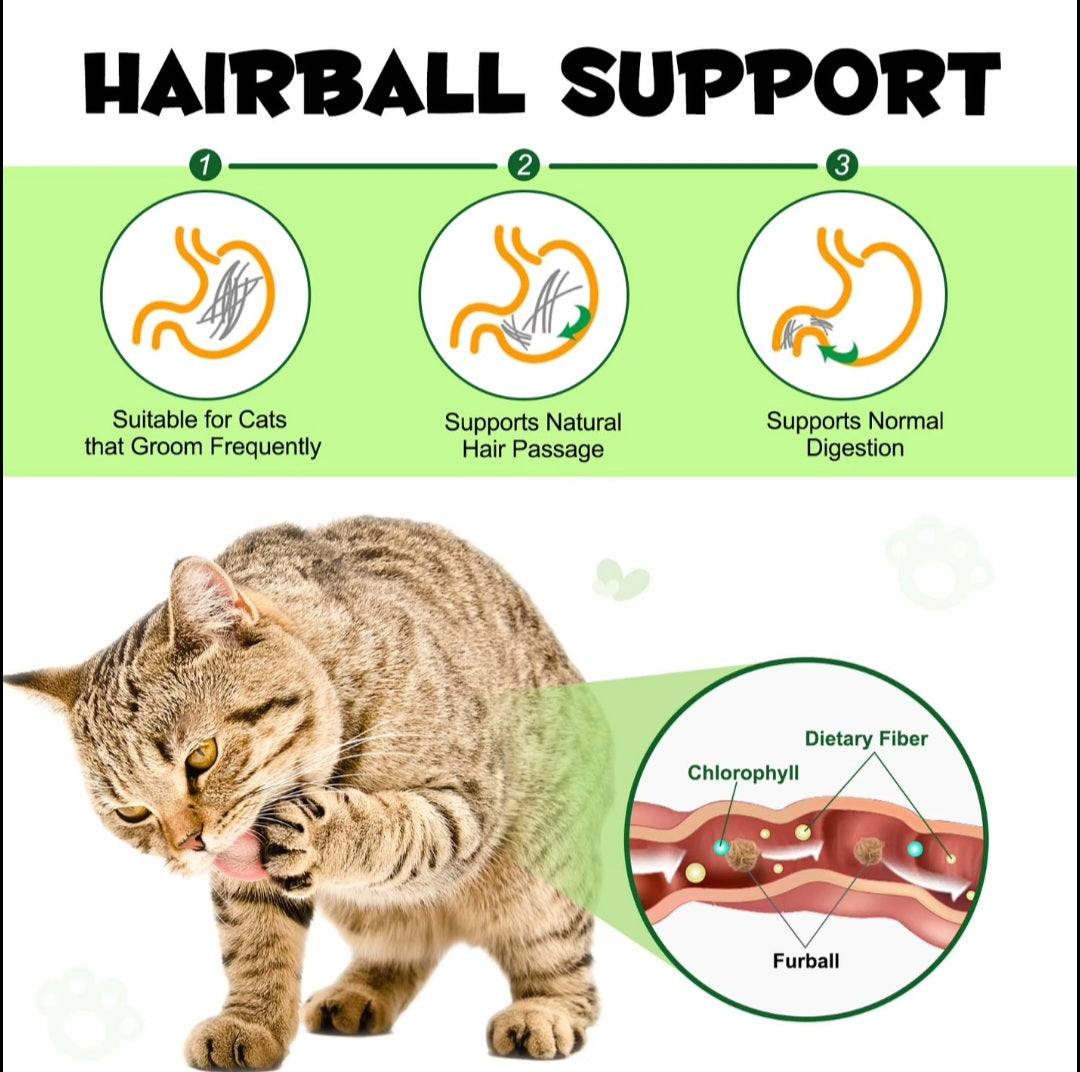 Cat Grass Treats